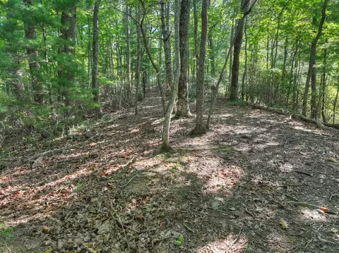 3 6 Ac Prince Mountain Rd, Cherry Log, GA 30522 photo 22
