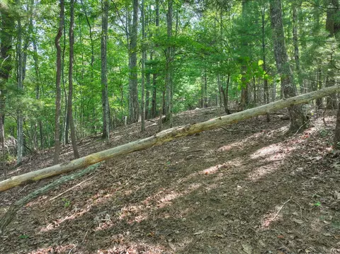 3 6 Ac Prince Mountain Rd, Cherry Log, GA 30522 photo 19