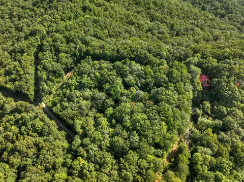 3 6 Ac Prince Mountain Rd, Cherry Log, GA 30522 photo 16