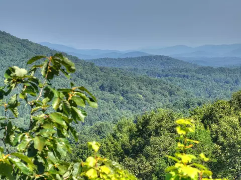 3 6 Ac Prince Mountain Rd, Cherry Log, GA 30522 photo 4