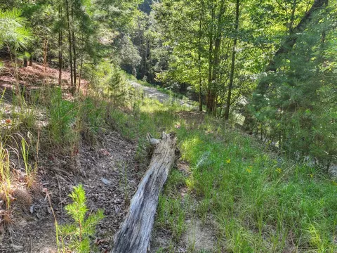 3 6 Ac Prince Mountain Rd, Cherry Log, GA 30522 photo 18