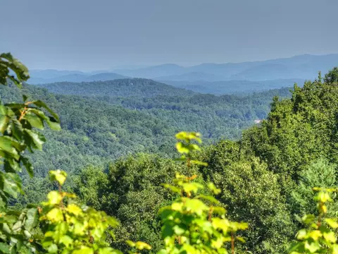 3 6 Ac Prince Mountain Rd, Cherry Log, GA 30522 photo 3
