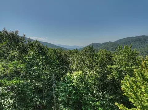 3 6 Ac Prince Mountain Rd, Cherry Log, GA 30522 photo 10