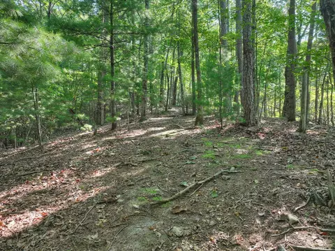 3 6 Ac Prince Mountain Rd, Cherry Log, GA 30522 photo 21