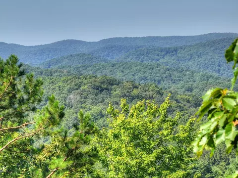 3 6 Ac Prince Mountain Rd, Cherry Log, GA 30522 photo 8