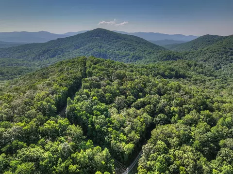 3 6 Ac Prince Mountain Rd, Cherry Log, GA 30522 photo 14