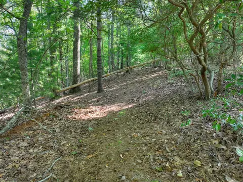 3 6 Ac Prince Mountain Rd, Cherry Log, GA 30522 photo 17