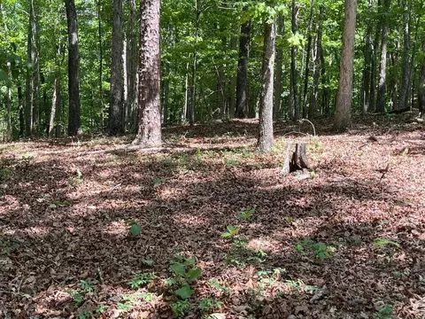 Tract 2 Chalcrest Way, Cave Spring, GA 30124 photo 6