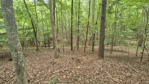 39 Ac Villa Dr, Ellijay, GA 30540