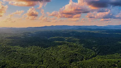 880 Matrix Circle, Ellijay, GA 30540