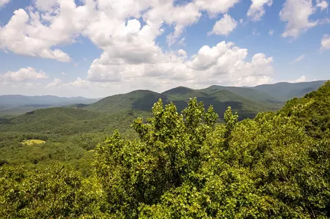 Lt M177 Walnut Ridge, Ellijay, GA 30536