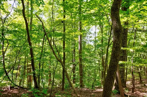 Lt J351 Mountain View Court, Ellijay, GA 30536