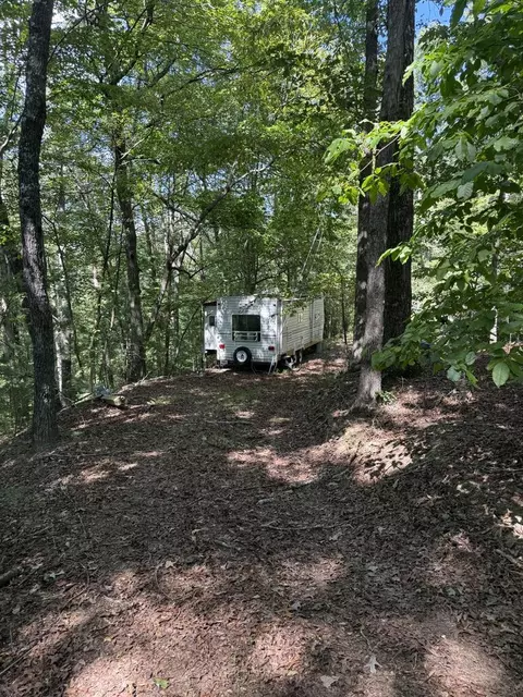 13 Southern Pines Drive, Ellijay, GA 30540