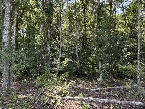 0 Taylor Hensen Rd, Murphy, NC 28906 photo 5