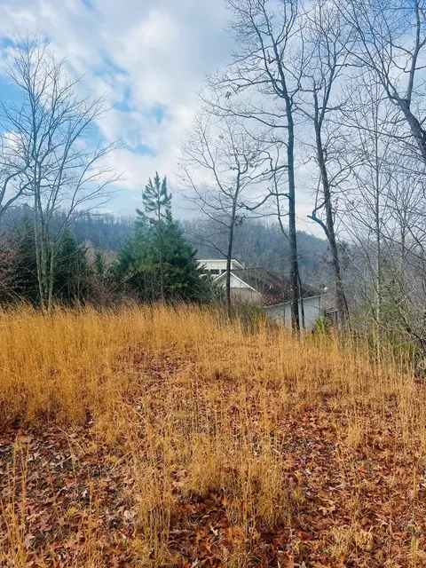 00 Aster Trl, Marble, NC 28905 photo 4