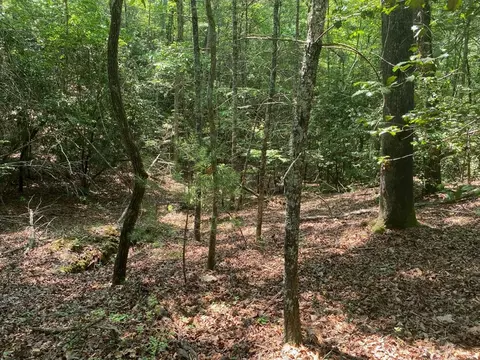 0 Point Overlook Trl, Murphy, NC 28906 photo 5