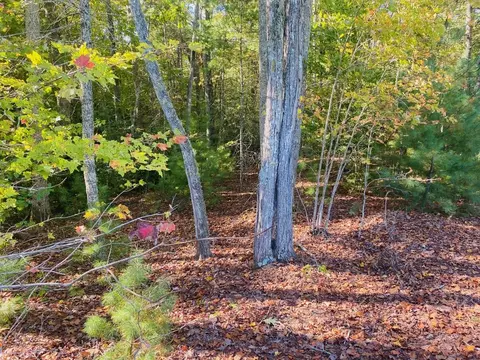 0 Point Overlook Trl, Murphy, NC 28906 photo 3