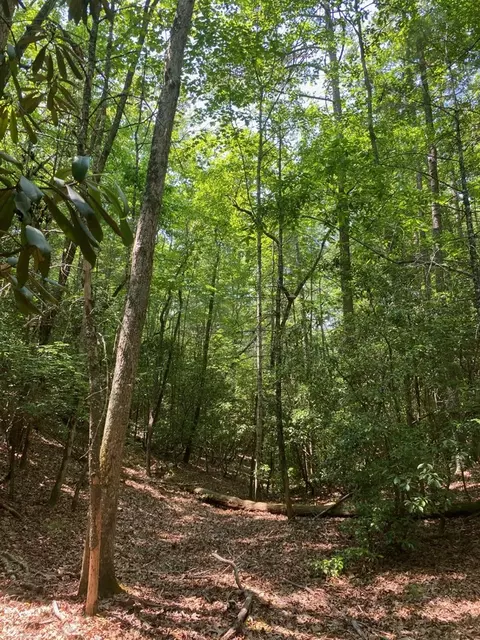 0 Point Overlook Trl, Murphy, NC 28906 photo 11