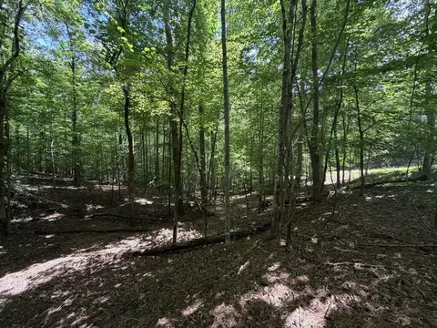 204 Guidon, Ellijay, GA 30540