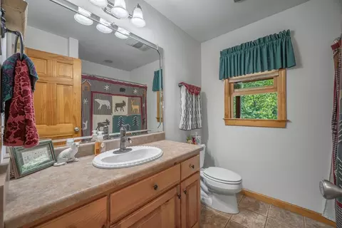 Bath - 320 Mossy Creek Trl, Murphy, NC 28906 photo 3 of 3