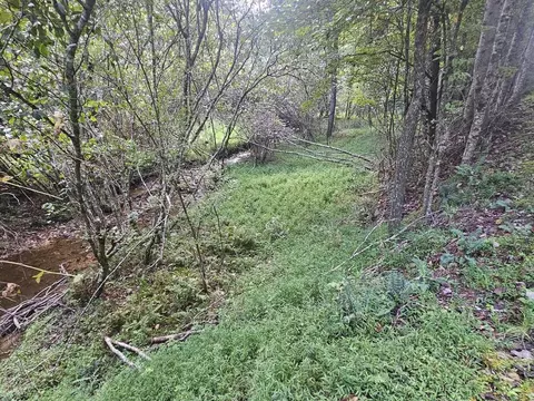 0 Wildcat Dr, Murphy, NC 28906 photo 9