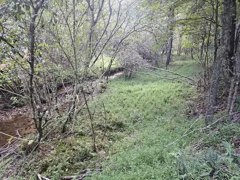 0 Wildcat Dr, Murphy, NC 28906 photo 8