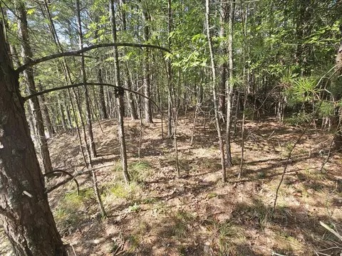 lot76 Wildcat Dr, Murphy, NC 28906 photo 2