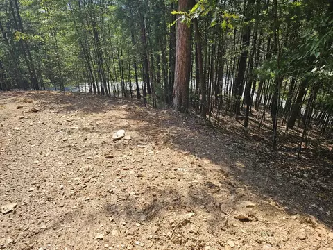 lot76 Wildcat Dr, Murphy, NC 28906 photo 8