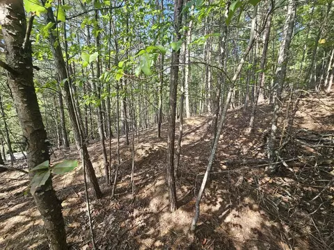lot76 Wildcat Dr, Murphy, NC 28906 photo 5