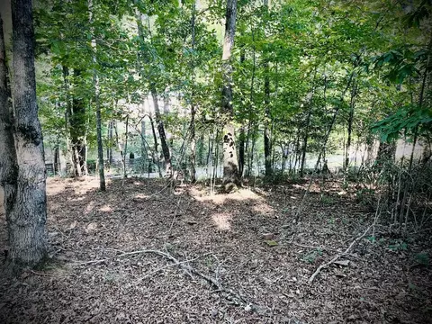 Other - 471 Nottely River Rd, Murphy, NC 28906 photo 16 of 16