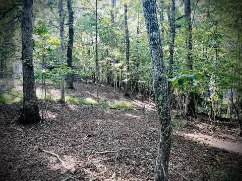 Exterior - 471 Nottely River Rd, Murphy, NC 28906 photo 9 of 12