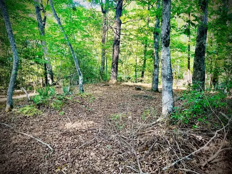 Exterior - 471 Nottely River Rd, Murphy, NC 28906 photo 8 of 12