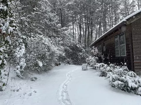 Exterior - 310 Licklog Ct, Hayesville, NC 28904 photo 12 of 17
