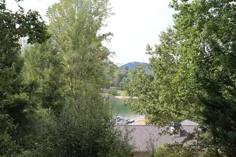 View/Area - 310 Licklog Ct, Hayesville, NC 28904 photo 1 of 3
