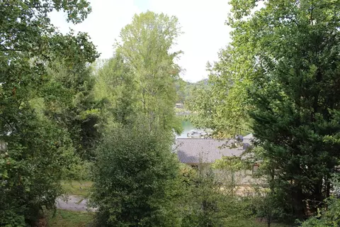 View/Area - 310 Licklog Ct, Hayesville, NC 28904 photo 3 of 3