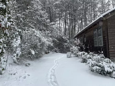 Exterior - 310 Licklog Ct, Hayesville, NC 28904 photo 15 of 17