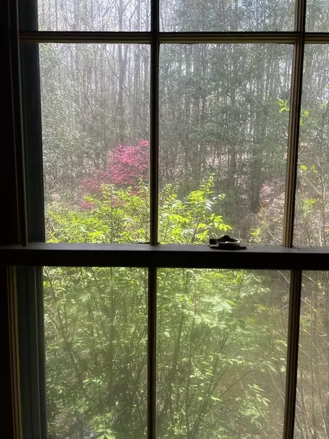 Other - 310 Licklog Ct, Hayesville, NC 28904 photo 4 of 5