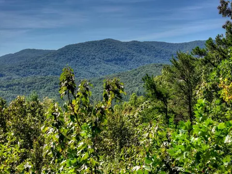 Other - 300 Cloudland Trce, Epworth, GA 30541 photo 23 of 24