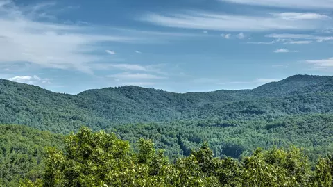 Other - 300 Cloudland Trce, Epworth, GA 30541 photo 11 of 24