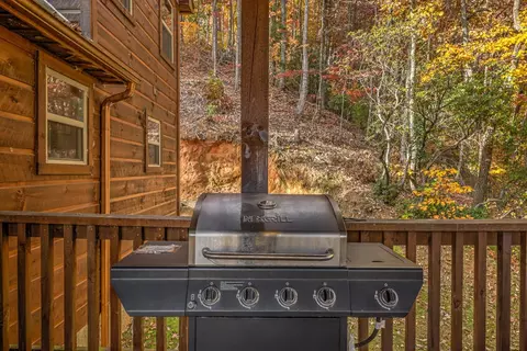 Other - 300 Cloudland Trce, Epworth, GA 30541 photo 3 of 24