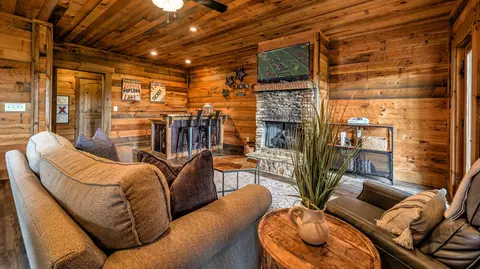 Living - 300 Cloudland Trce, Epworth, GA 30541 photo 8 of 8