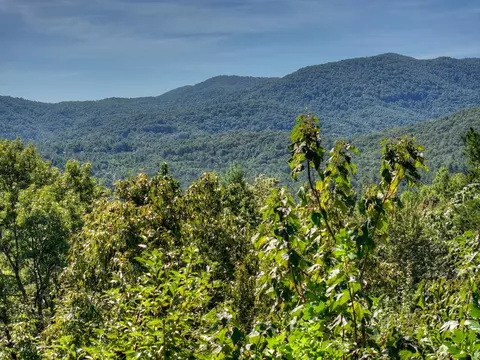 Other - 300 Cloudland Trce, Epworth, GA 30541 photo 18 of 24