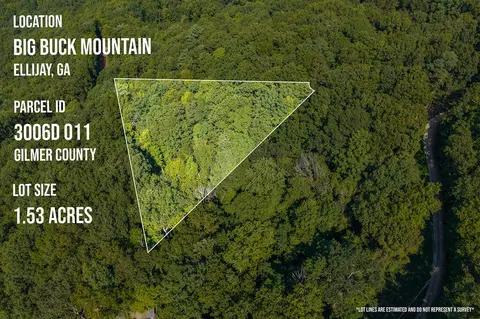 lot281 Irma Ct, Ellijay, GA 30540