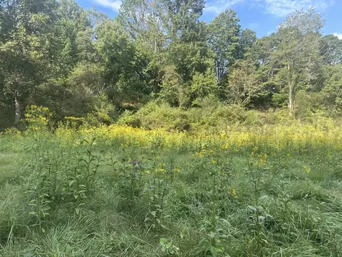 191 NW Roach Cove Rd, Hayesville, NC 28904 photo 14