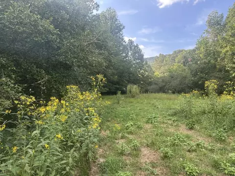 191 NW Roach Cove Rd, Hayesville, NC 28904 photo 12