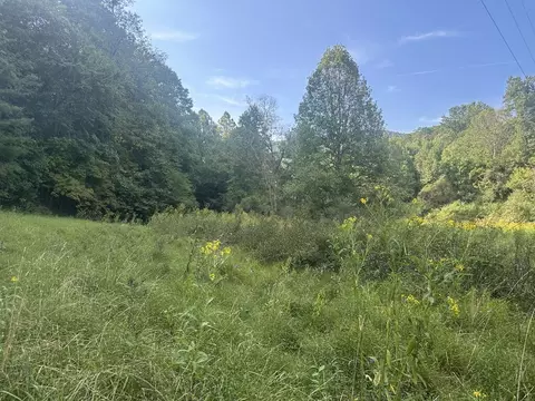 191 NW Roach Cove Rd, Hayesville, NC 28904 photo 23