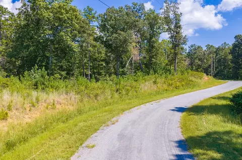 lot31 Freestone St, Talking Rock, GA 30175 photo 11
