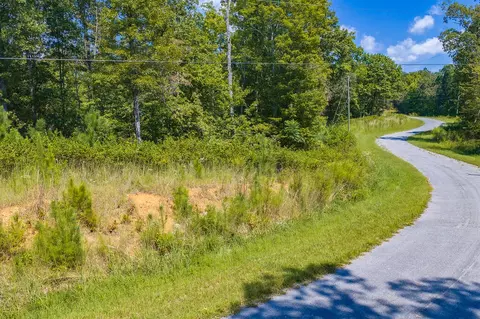 lot31 Freestone St, Talking Rock, GA 30175 photo 6