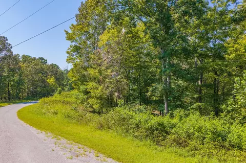 lot31 Freestone St, Talking Rock, GA 30175 photo 2