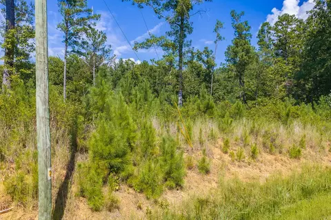 lot31 Freestone St, Talking Rock, GA 30175 photo 12